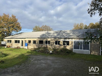 /international/fr/mauves-sur-loire-pays-de-la-loire-310105251542/
