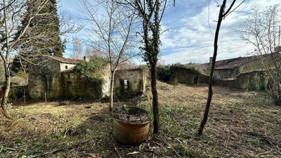 /international/fr/saint-sauvant-charente-310106335480/