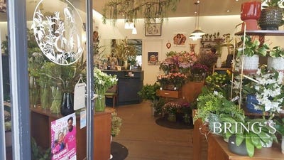 /international/fr/bayonne-aquitaine-310107375376/
