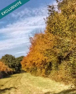 /international/fr/la-rochelle-charente-310108216667/