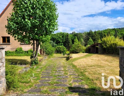 /international/fr/wingen-sur-moder-alsace-310101034136/