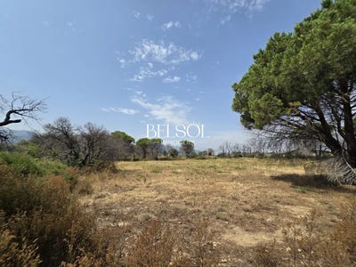 /international/fr/argeles-sur-mer-languedoc-roussillon-310109432063/