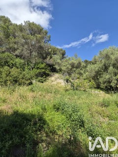 /international/fr/gorbio-provence-alpes-cote-d-azur-310108262477/