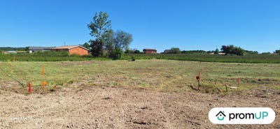 /international/fr/bouglon-aquitaine-310103175085/