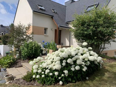 /international/fr/queven-brittany-120092656775/