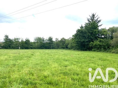 /international/fr/nouic-limousin-310108044033/