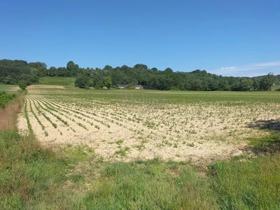 /international/fr/gabaston-aquitaine-310108789565/