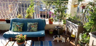 /international/fr/limoux-languedoc-roussillon-310107560874/