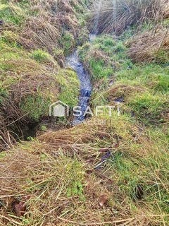 /international/fr/pulligny-lorraine-310103311183/