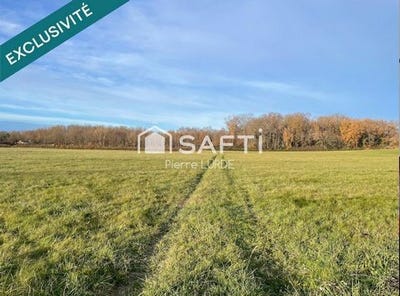 /international/fr/montauban-midi-pyrenees-310104799903/