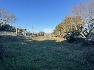 /international/fr/sanilhac-sagries-languedoc-roussillon-310107949730/