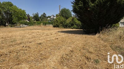 /international/fr/loireauxence-pays-de-la-loire-310100697973/