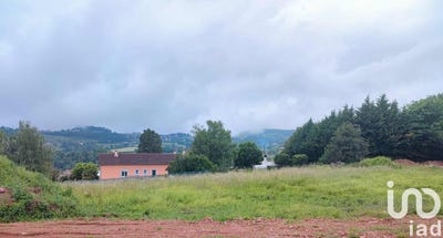 /international/fr/cours-rhone-310103614363/