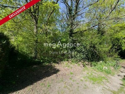 /international/fr/leves-centre-val-de-loire-310107147513/