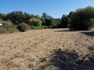 /international/fr/pugnac-aquitaine-310099118608/