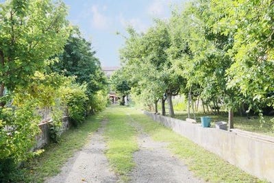 /international/fr/grisolles-midi-pyrenees-310105073680/