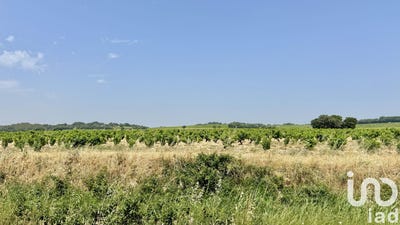 /international/fr/bedarrides-provence-alpes-cote-d-azur-310099215181/