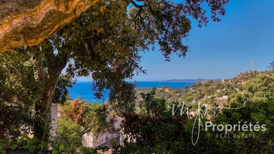 /international/fr/rayol-canadel-sur-mer-provence-alpes-cote-d-azur-310100578216/