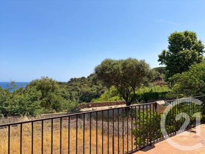 /international/fr/monticello-corsica-310110159284/