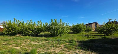 /international/fr/cavillargues-languedoc-roussillon-310108651424/