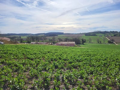/international/fr/puycasquier-midi-pyrenees-310107555140/