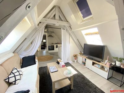 /international/fr/blotzheim-alsace-310100659334/