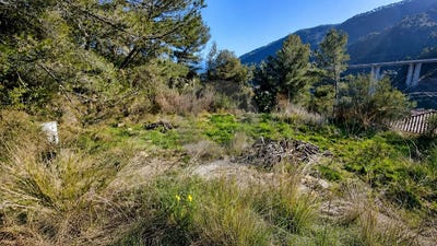 /international/fr/gorbio-provence-alpes-cote-d-azur-310109173941/