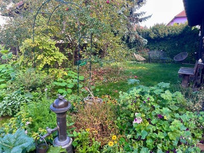 /international/fr/sierentz-alsace-310101085924/?lang=zh-cn