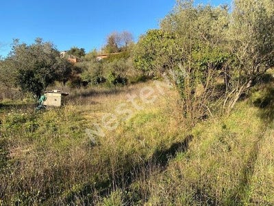 /international/fr/draguignan-provence-alpes-cote-d-azur-310104946035/