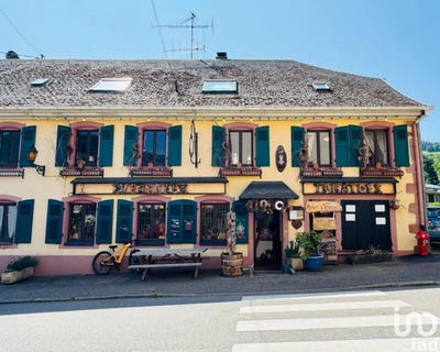 /international/fr/orbey-alsace-310100785352/