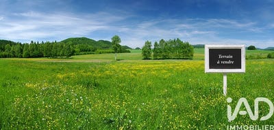 /international/fr/saint-pere-en-retz-pays-de-la-loire-310106687057/