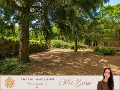 /international/fr/cazedarnes-languedoc-roussillon-310108375843/