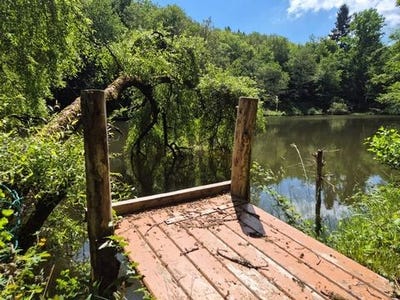 /international/fr/pressignac-charente-310099949367/
