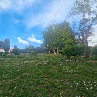 /international/fr/champagne-les-marais-pays-de-la-loire-310102481847/
