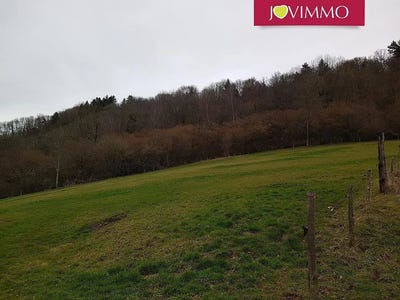 /international/fr/gelles-auvergne-310100936414/