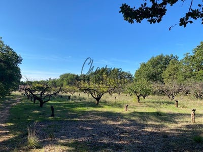 /international/fr/uzes-aquitaine-310104917999/