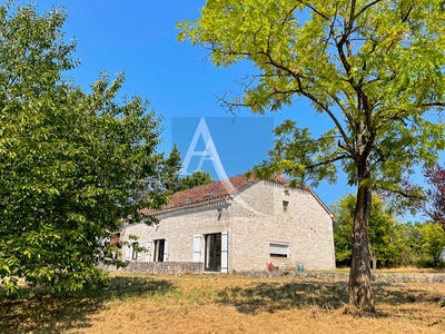 /international/fr/saint-matre-midi-pyrenees-310104468543/