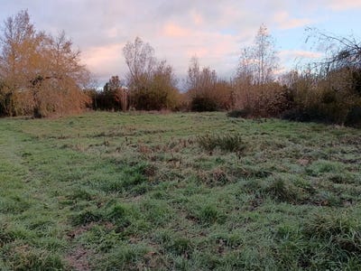 /international/fr/nueil-les-aubiers-charente-310103713776/