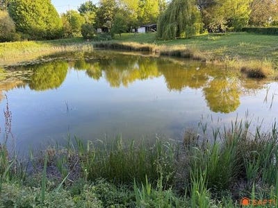/international/fr/le-lion-d-angers-pays-de-la-loire-310107447478/