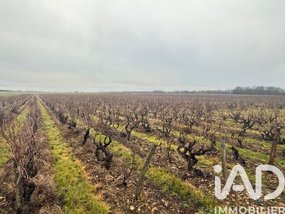 /international/fr/vernou-sur-brenne-centre-val-de-loire-310105057664/