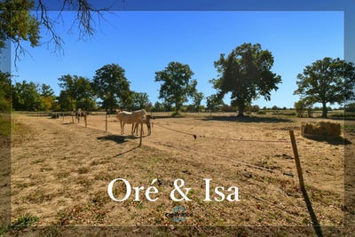 /international/fr/orcenais-centre-val-de-loire-310120049267/