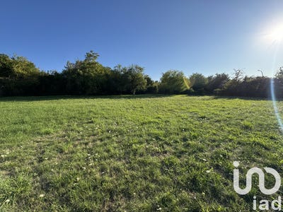 /international/fr/chinon-centre-val-de-loire-310102397235/