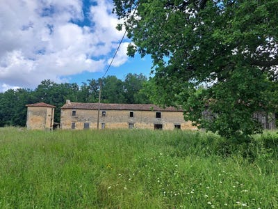 /international/fr/langon-centre-val-de-loire-310100386787/?lang=zh-tw
