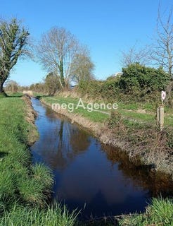 /international/fr/genets-la-basse-normandie-310106222116/