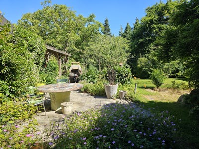/international/fr/suce-sur-erdre-pays-de-la-loire-310108969384/