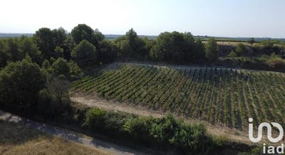 /international/fr/pailhes-midi-pyrenees-310101470385/?lang=pt