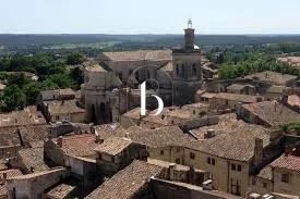 /international/fr/saint-siffret-languedoc-roussillon-310108971595/