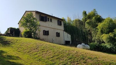 /international/fr/le-buisson-de-cadouin-aquitaine-310101483993/?lang=zh-cn