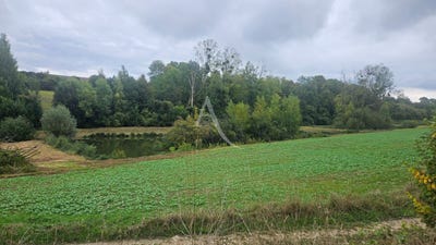 /international/fr/soissons-picardie-310104465883/