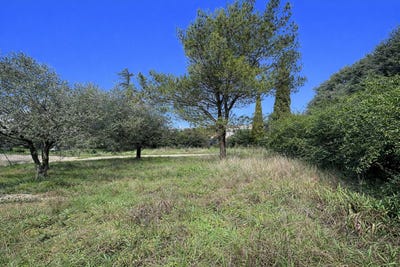 /international/fr/saint-siffret-languedoc-roussillon-310107838857/